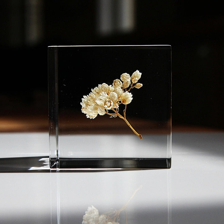 Rice Flower - Sola Cube