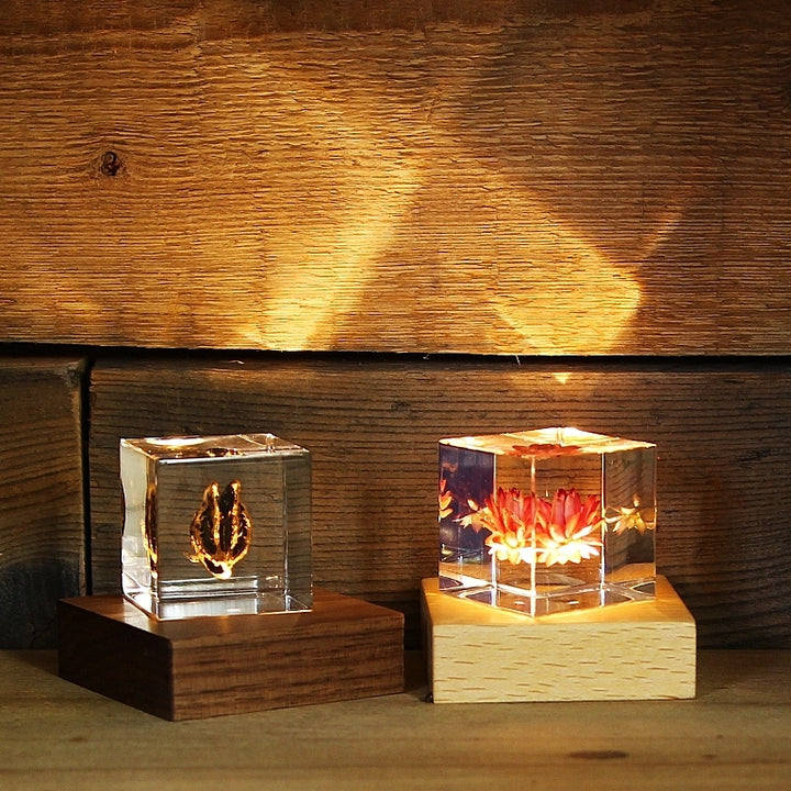 Light Base Buche/Walnuss