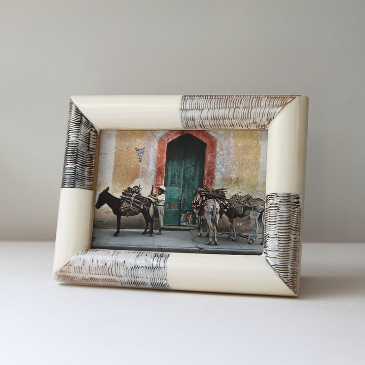 Bicolor Horn Style Photo Frame