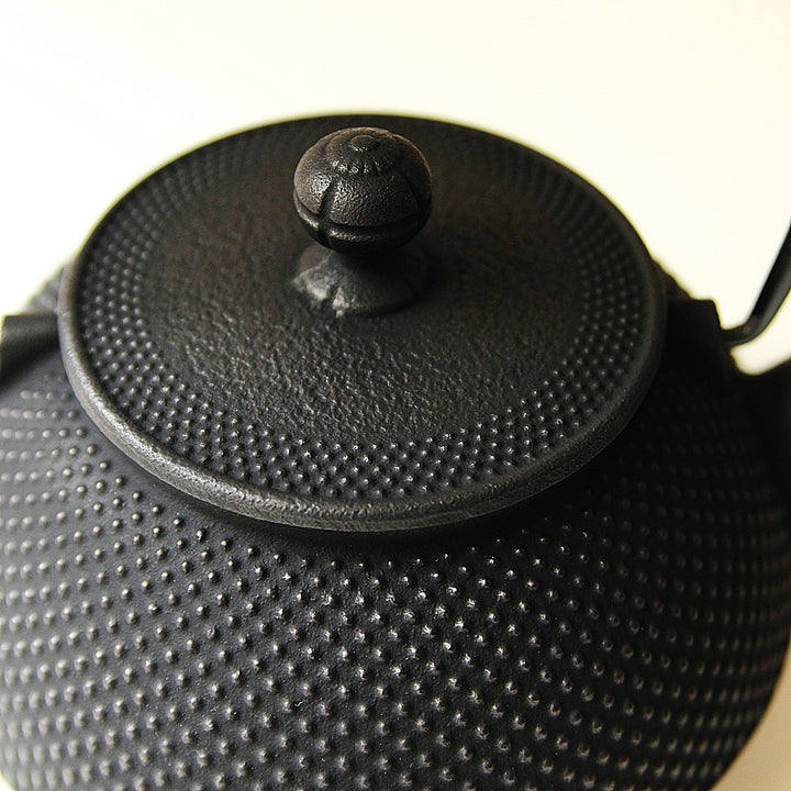 Cast Iron Teapot Iwachu - 1,2 L