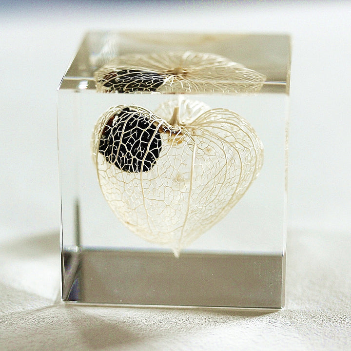 Chinese Lantern - Sola Cube