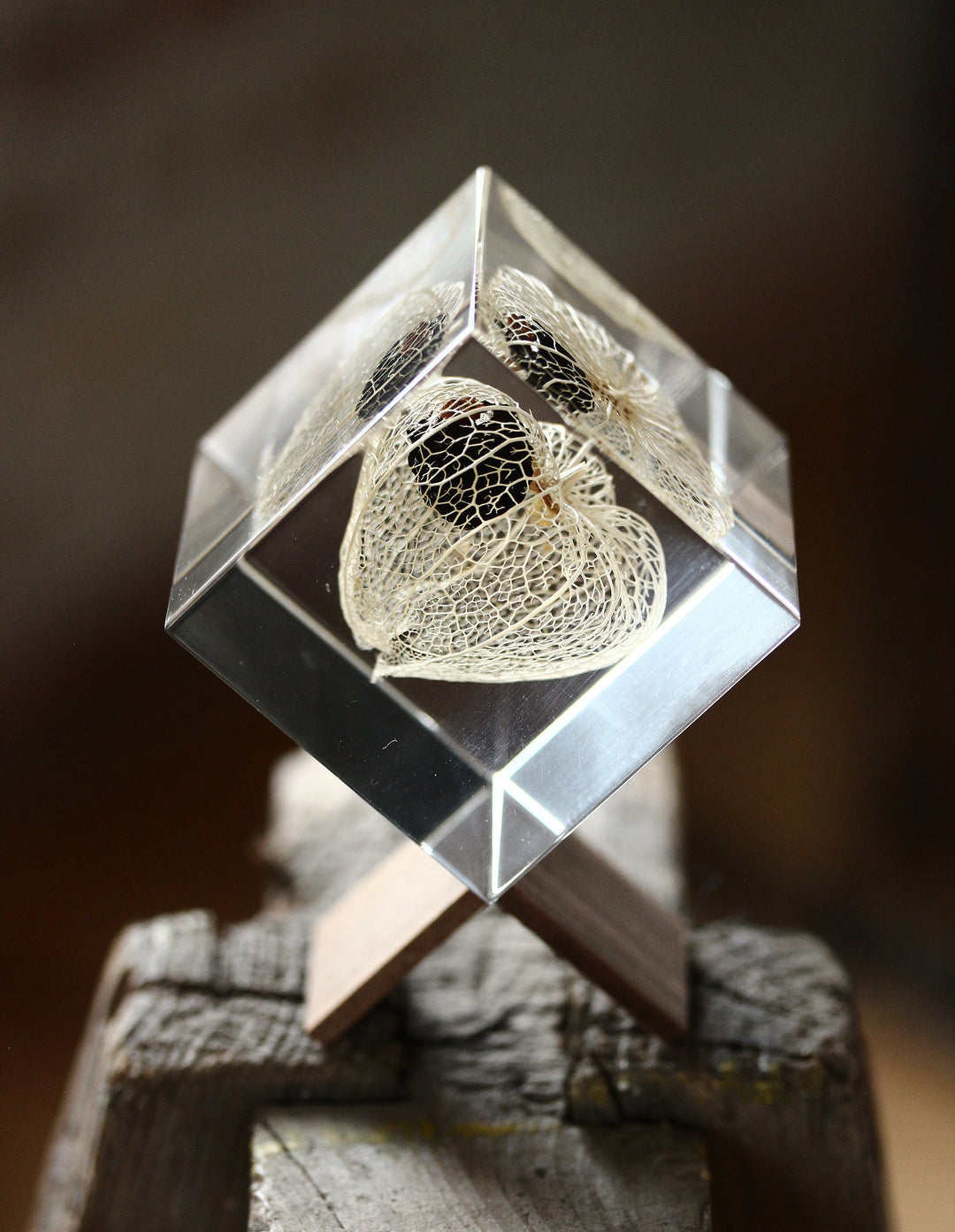 Chinese Lantern - Sola Cube