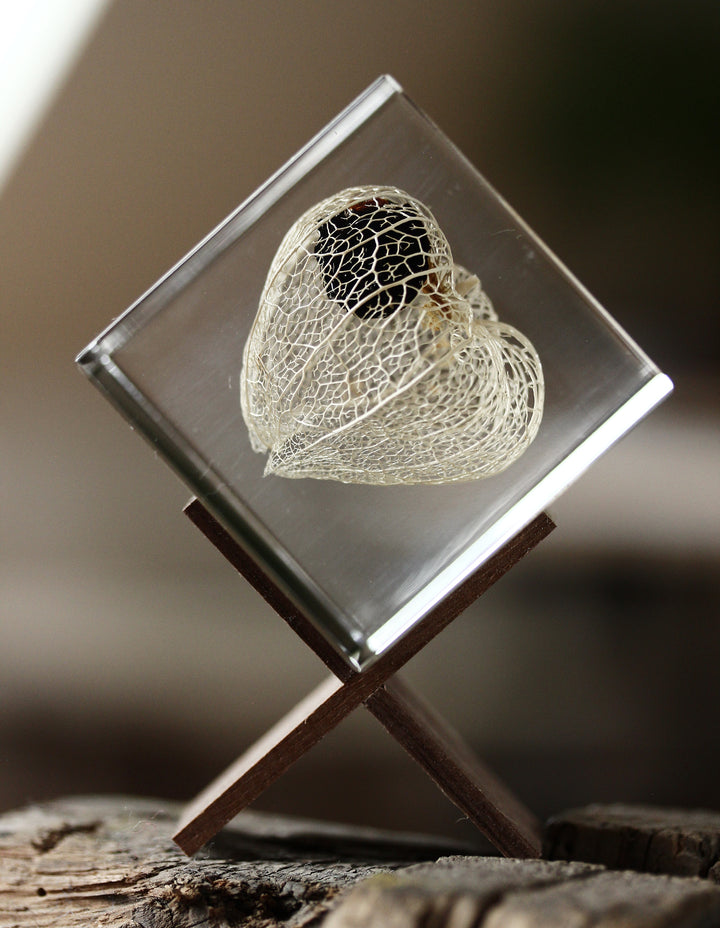 Chinese Lantern - Sola Cube