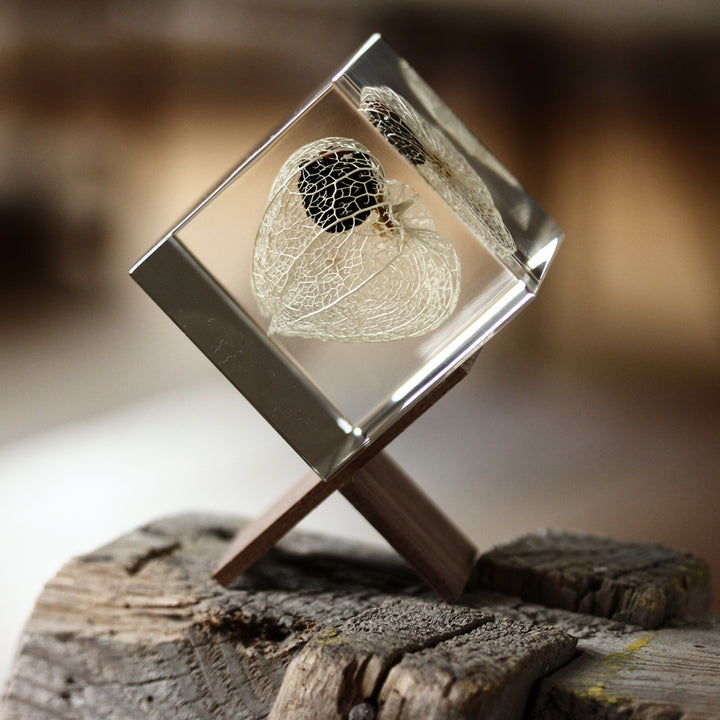 Chinese Lantern - Sola Cube