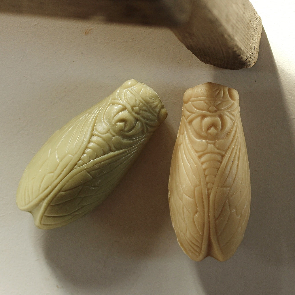 Cicada Soap 100g