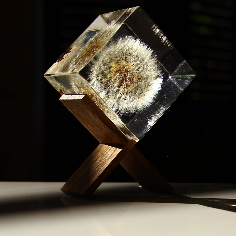 Pissenlit - Sola Cube