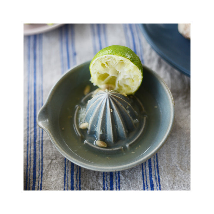 Lezzet Lemon Squeezer Gray