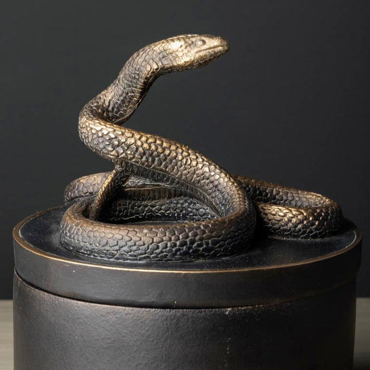 Small Round Box "Vipra"