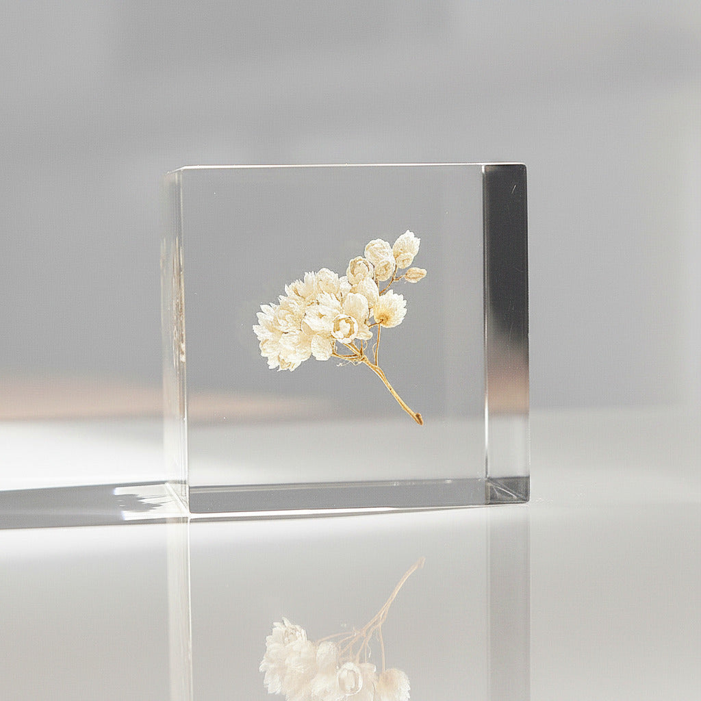Fleur de riz - Sola Cube
