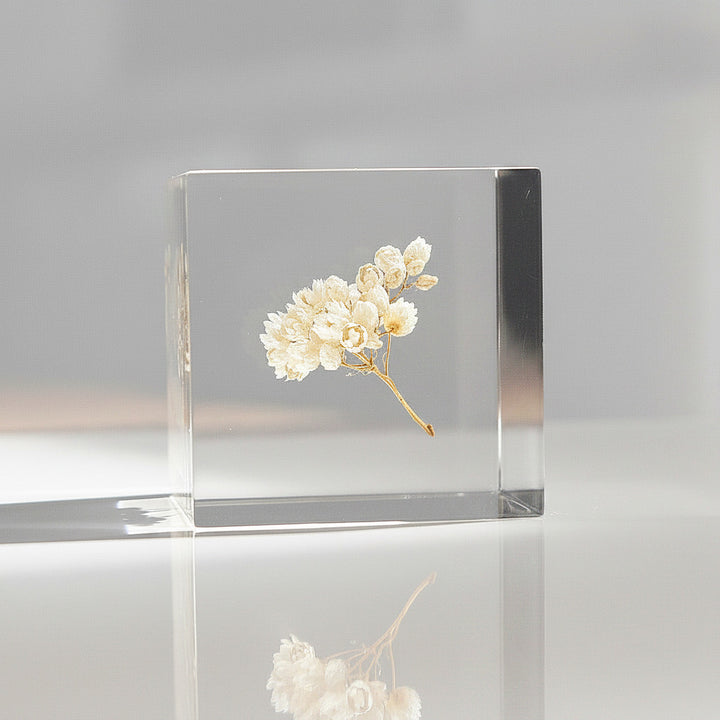 Fleur de riz - Sola Cube