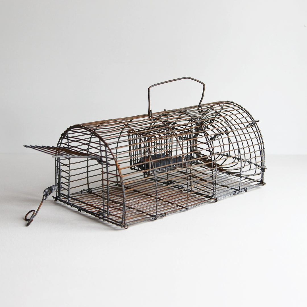 Alte mechanische Lebendfalle für Mäuse und Ratten aus rostigem Metalldraht mit gewölbtem Käfig, Tragegriff und Fangmechanismus.