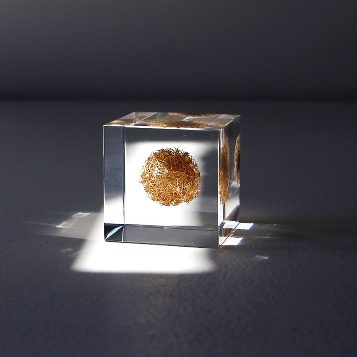 Basket Flower - Sola Cube