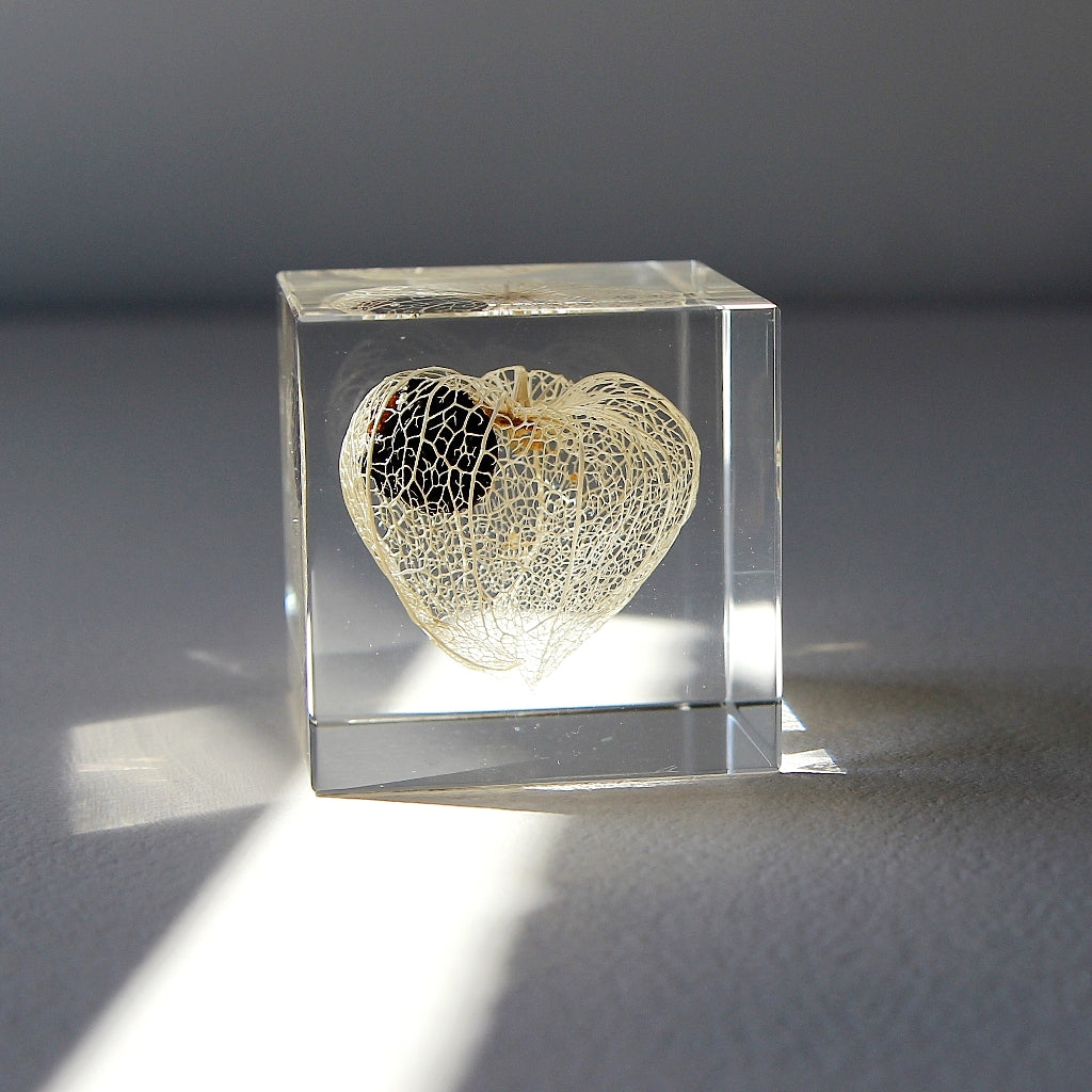 Chinese Lantern - Sola Cube