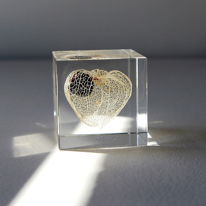 Chinese Lantern - Sola Cube