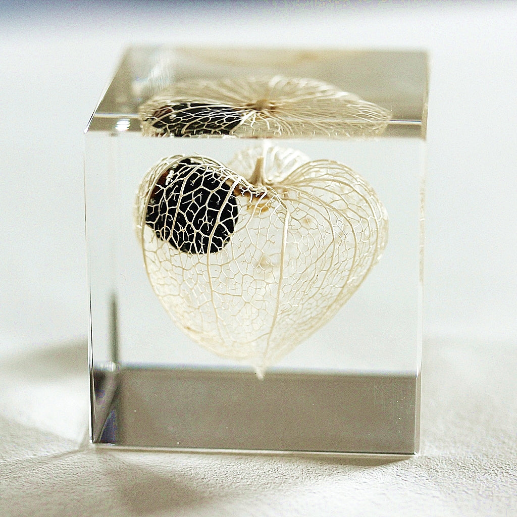 Chinese Lantern - Sola Cube