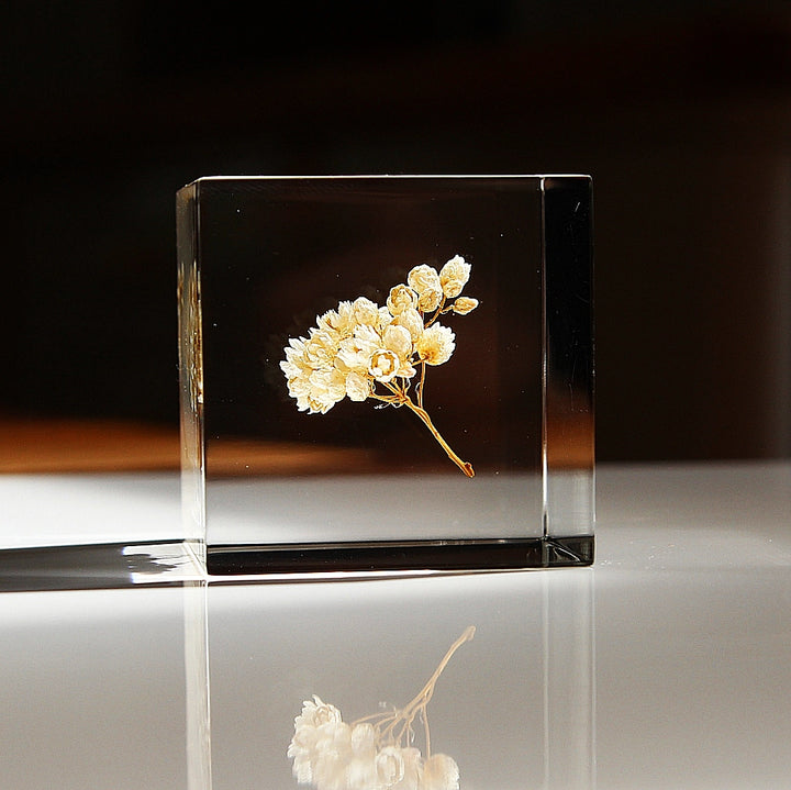Fleur de riz - Sola Cube