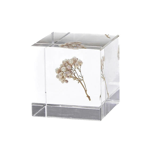 Fleur de riz - Sola Cube