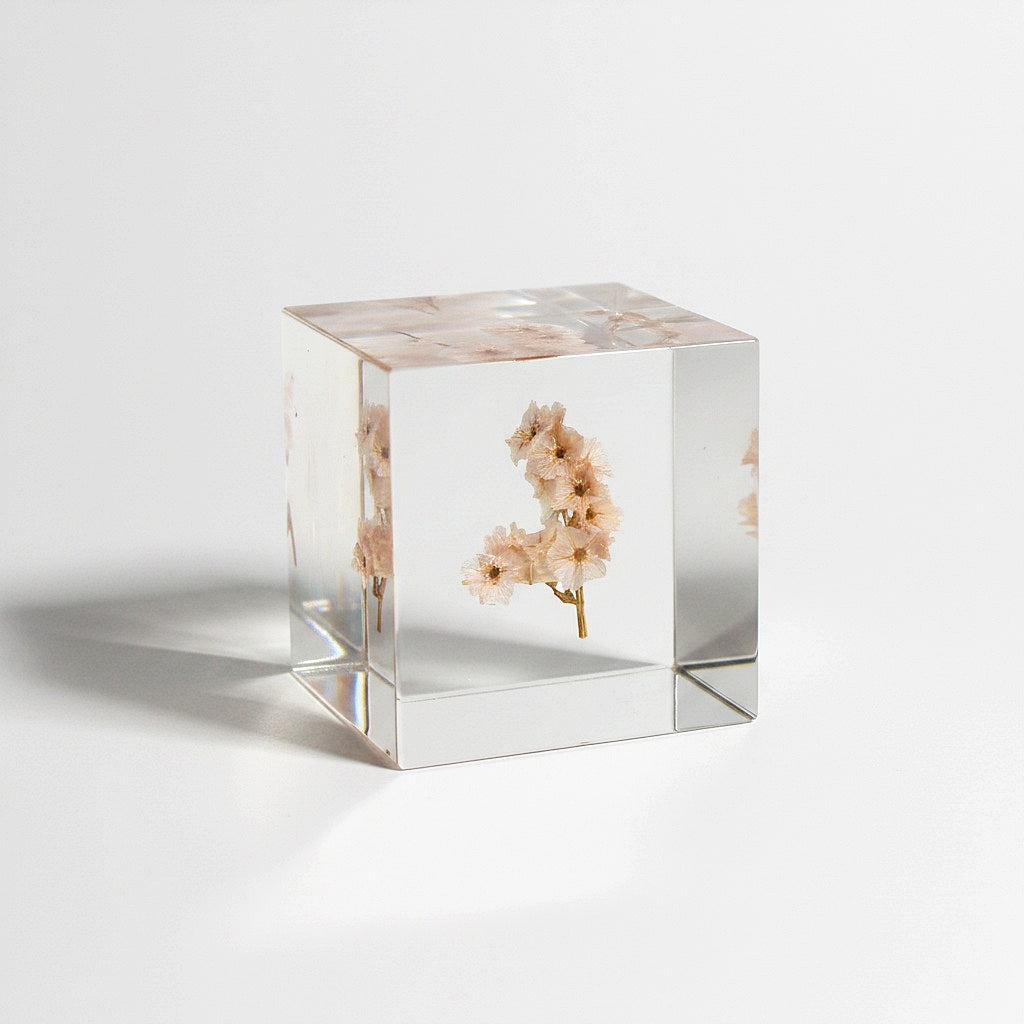 Sea Lavender - Sola Cube