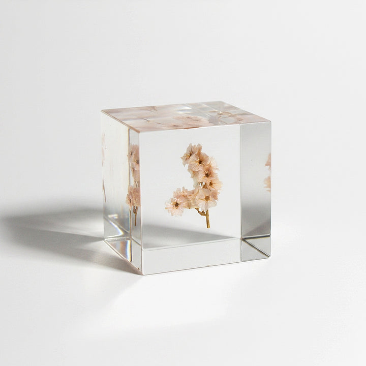 Sea Lavender - Sola Cube