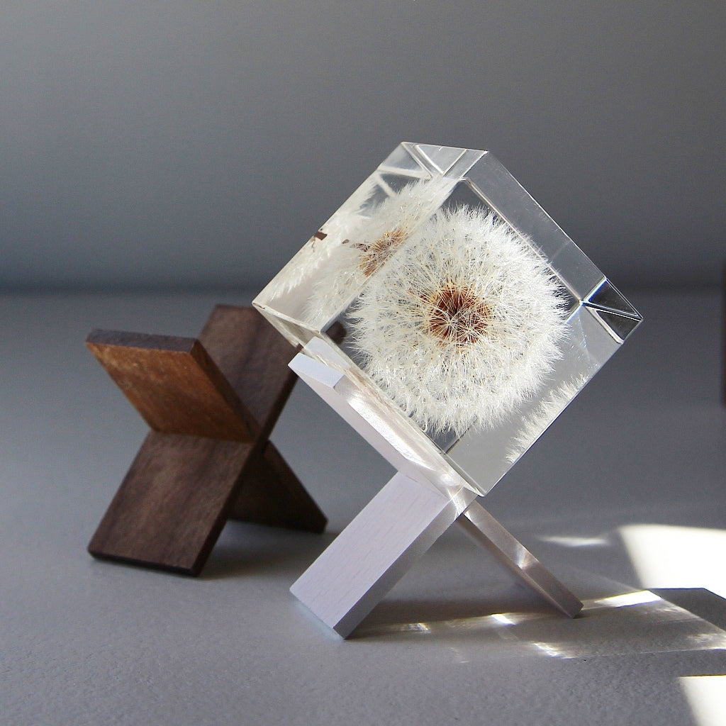 Sola Cube Stand