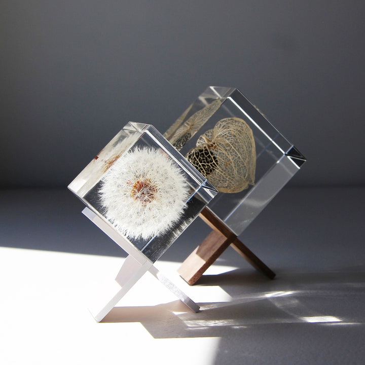 Sola Cube Stand
