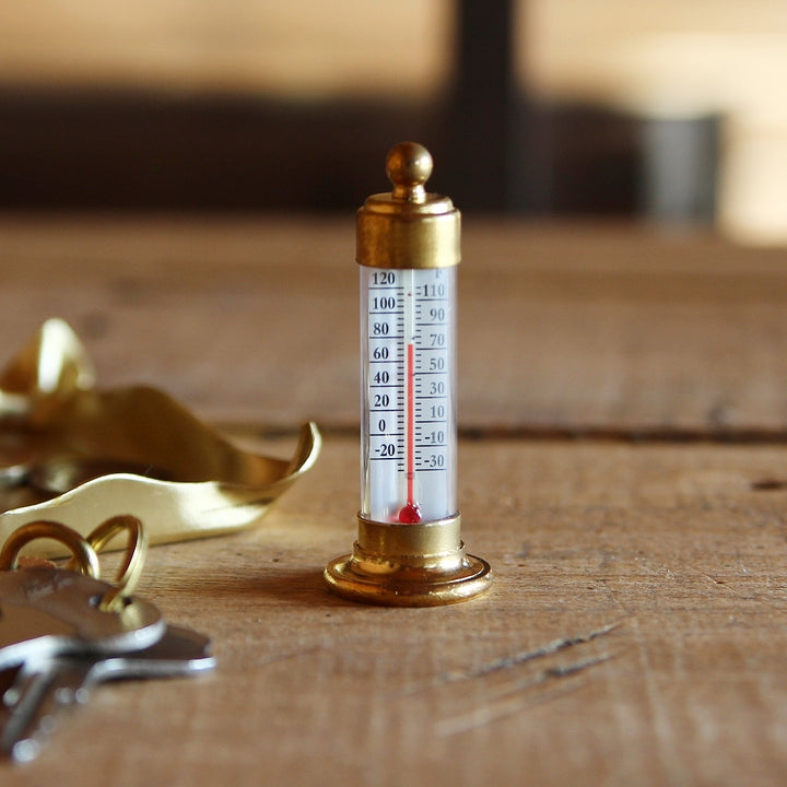 Detail des Tischthermometers mit Celsius und Fahrenheit Skala