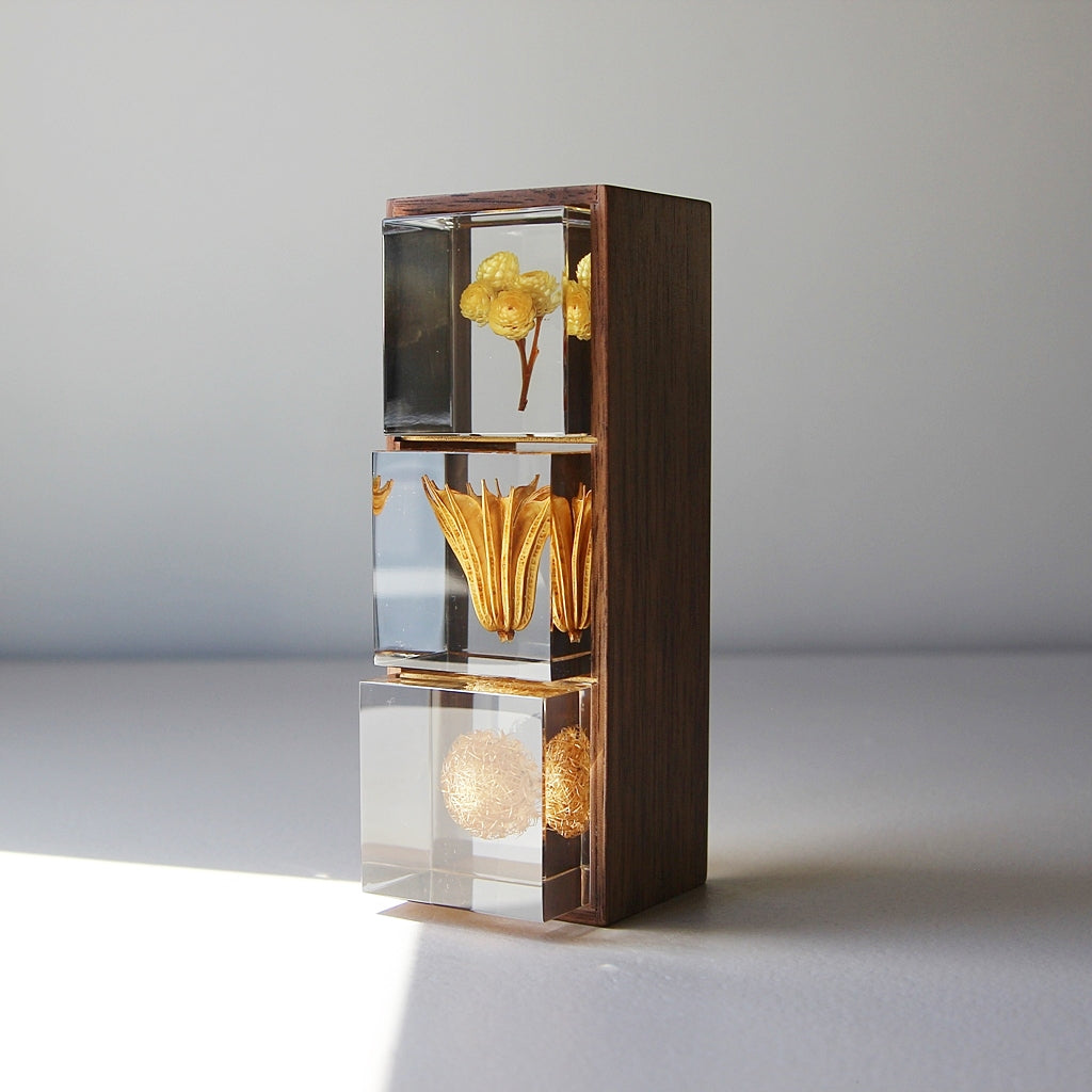 Coffret en bois - Sola Cube