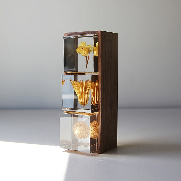 Coffret en bois - Sola Cube