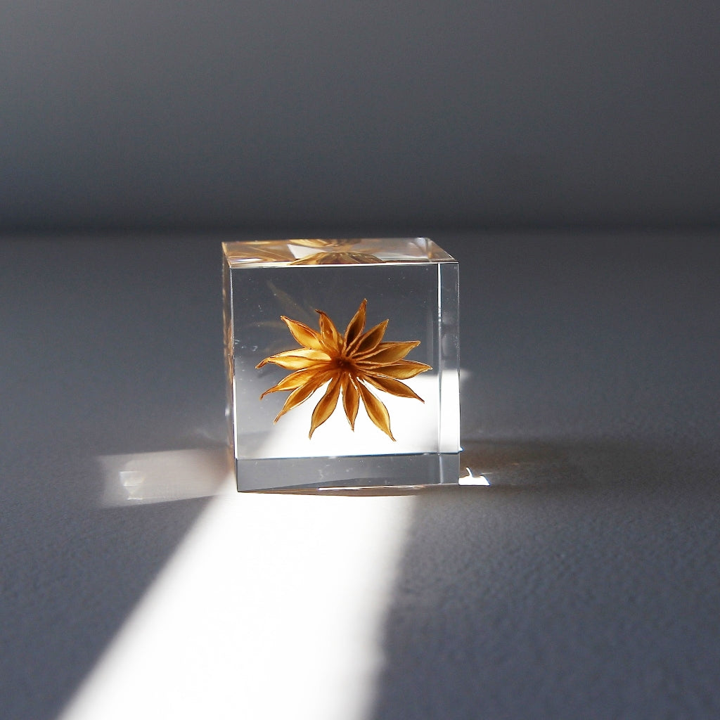 Yellow Fennel Flower - Sola Cube