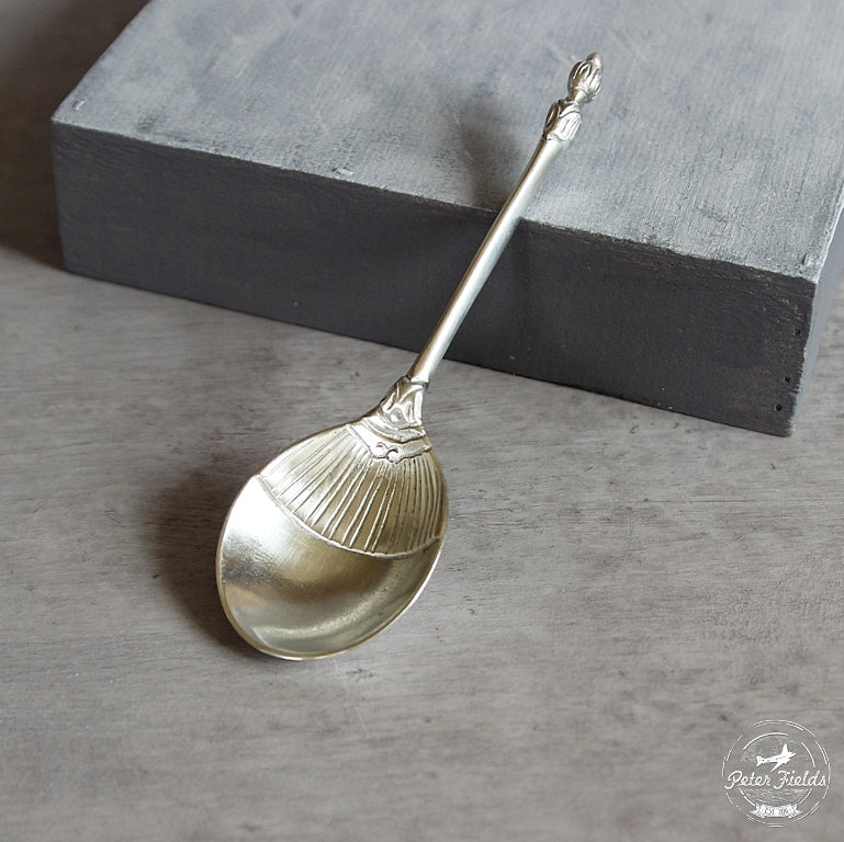 Engraved Spoon - Coclea