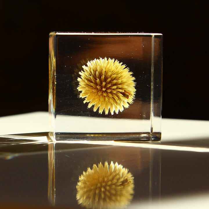 Globe Thistle