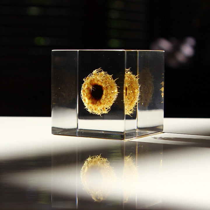 Panier de fleurs - Sola Cube