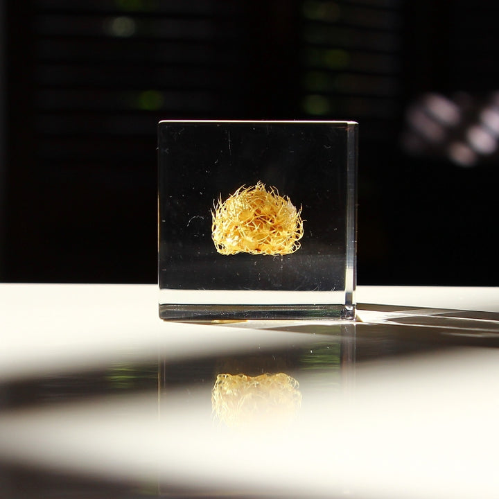 Panier de fleurs - Sola Cube