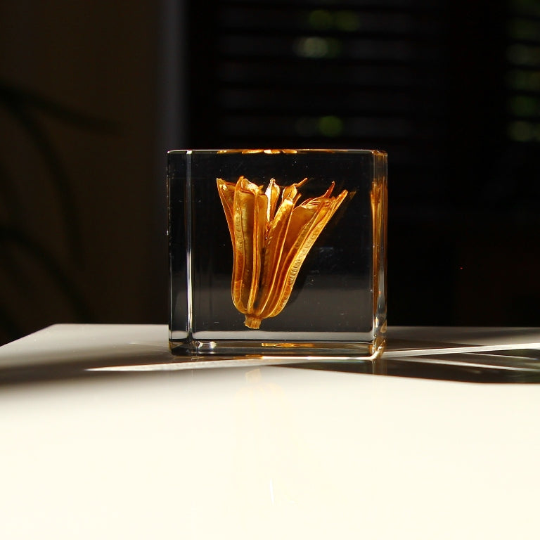 Fleur de fenouil jaune - Sola Cube