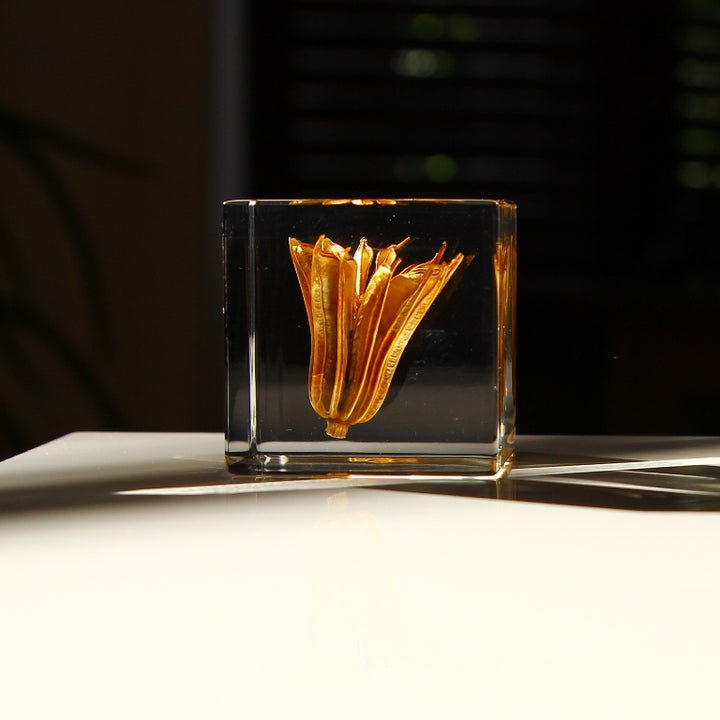 Fleur de fenouil jaune - Sola Cube