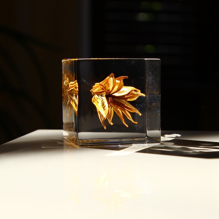 Fleur de fenouil jaune - Sola Cube