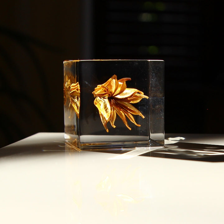Fleur de fenouil jaune - Sola Cube
