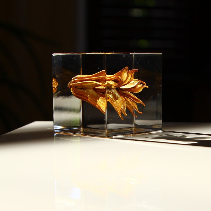 Fleur de fenouil jaune - Sola Cube