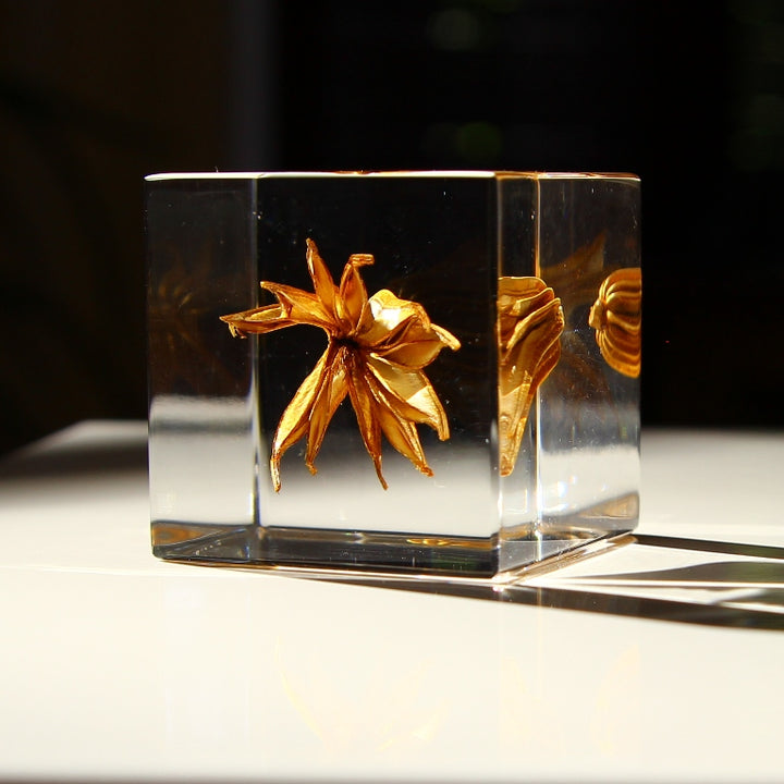 Fleur de fenouil jaune - Sola Cube