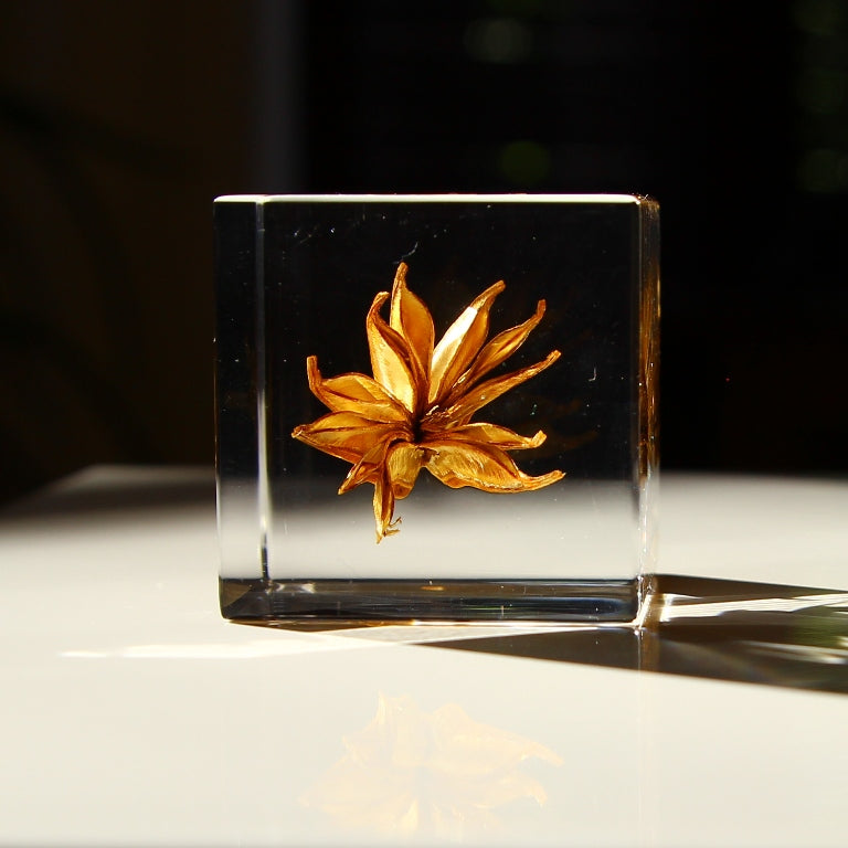 Fleur de fenouil jaune - Sola Cube