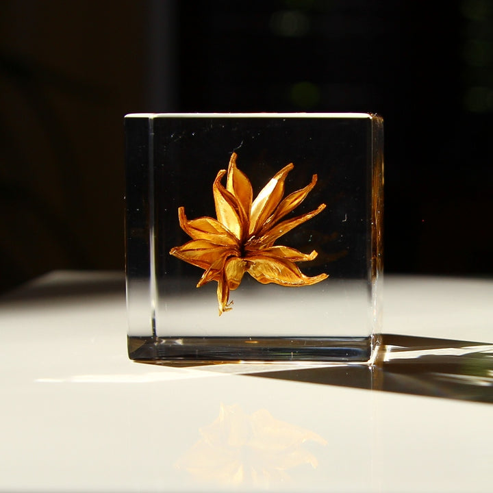 Fleur de fenouil jaune - Sola Cube