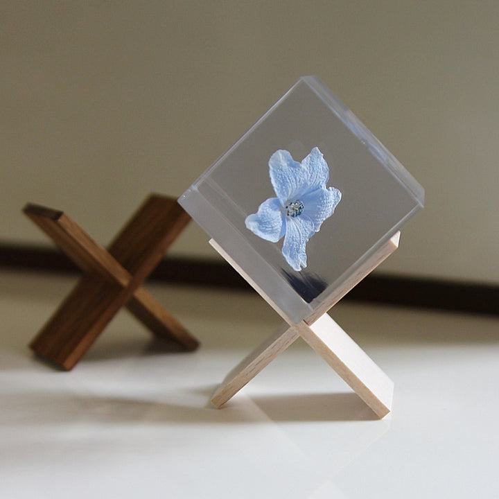 Support Blanc - Sola Cube