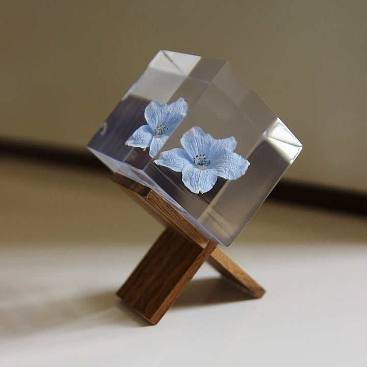 Stand Brown - Sola Cube